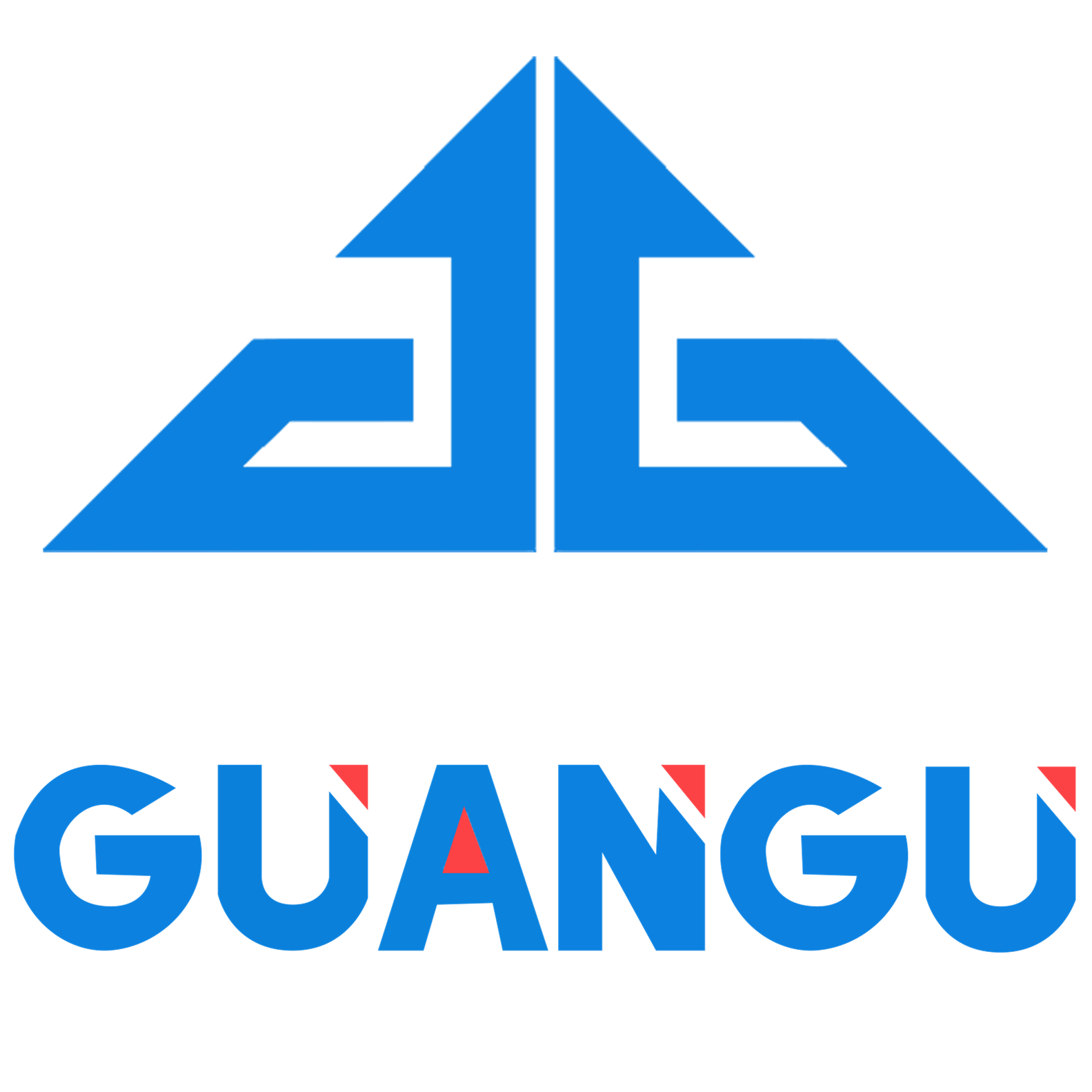 DelhiGuangu Tech